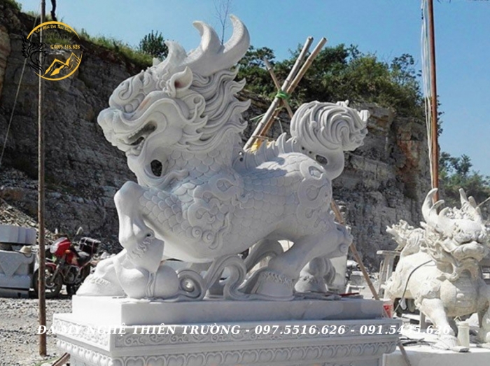 Con giống đá 29